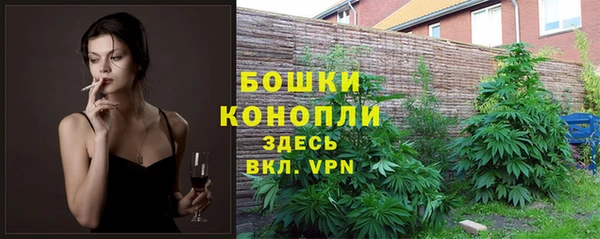 молекула духа Чекалин